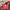 Winter Plush Makeup Bag Polka Dot - Large Capacity Travel Cosmetic Organizer & Wash Bag for Women