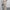 Off-Shoulder Polka Dot High-Waist Tie-Front Jumpsuit for Women — Flared Wide-Leg Summer Workwear
