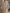 Women's Thick Longline Crewneck Sweater - Soft Loose-Fit Acrylic Blend Pullover in Neutral Tones for Fall/Winter, Office & Casual
