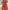 Plus Size Floral Deep V-Neck Short Sleeve Dress - Stretchy Fitted Casual Beach Dress for Spring Summer Fall