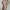 Plus Size Women's Knit Sweater Dress - Long Sleeve Round Neck, Stretchy Solid Color for Casual & Formal