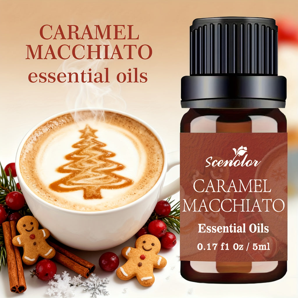 12-Pack Holiday Essential Oils Set 0.17 fl oz (5 ml) Bottles — Cinnamon, Gingerbread, Christmas Tree, Pumpkin Cake, Sandalwood, Fireside | Aromatherapy Oils for Diffusers, Humidifiers & Candle Making