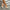 Women’s Pointed-Toe Stiletto Heels – Canvas & Man-Made Upper, Rubber Sole, High Heel, All-Season