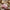 Sanrio Hello Kitty & Big-Eared Rabbit Pink Tote Bag with Cosmetic Case – Large Capacity Kawaii Handbag for Travel & Daily Use