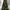 Women's Olive Green & Black Floral A-Line Skirt with Elastic Waistband - High-Rise Flowy Skirt for Spring & Fall