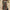 Plus Size Colorblock Stripe Midi Dress Long Sleeve Round Neck A-Line Tunic