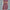 Women's V-Neck Ruched Midi Dress with Belted Waist, Short Sleeve Flowy Skirt for Spring/Summer