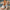 Women's Wide Fit Open-Toe Wedge Sandals - Adjustable Buckle, Cushioned Platform Heel, Lightweight Breathable Summer Shoes