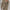 Women's Beige V-Neck Long Sleeve Sweater Dress – Stretch Knit, Form-Fitting Office-to-Party