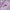 TPE Non-Slip Thick Yoga Mat with Carry Bag & Straps - Cushioned Exercise Mat for Home, Gym & Outdoor (Grey, Purple, Transparent Pink)