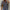 Women's Button-Front Collared Long Sleeve Shirt — Solid Casual Office Blouse