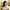 Women's Bridal Headband Purple & Green Floral Wedding Hairpiece – Elegant Bohemian Prom & Party Accessory