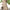 Women's V-Neck Sleeveless Maxi Dress – Elegant Loose Flowy Long Dress in Burgundy | All-Season, Machine Washable