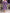 Plus Size Asymmetrical A-Line Dress — Lavender Short Sleeve Round Neck Lightweight Non-Stretch Tunic for Casual & Semi-Formal