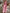 Women's Floral V-Neck Backless Maxi Dress with Spaghetti Straps – Sleeveless Summer Knit Polyester-Spandex