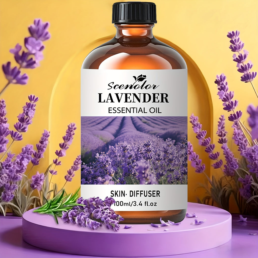 12-Pack Holiday Essential Oils Set 0.17 fl oz (5 ml) Bottles — Cinnamon, Gingerbread, Christmas Tree, Pumpkin Cake, Sandalwood, Fireside | Aromatherapy Oils for Diffusers, Humidifiers & Candle Making