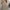 Green Floral V-Neck Maxi Dress, Cinched Waist A-Line with Short Batwing Sleeves — Glossy Polyester for Spring/Summer