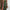 Women's Solid Crew Neck Tank Maxi Dress – Sleeveless Curved Hem Casual Bodycon for Spring and Summer