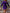 Women's Winter Knit Sweater Dress — Crew Neck A-Line, Short & Long Sleeve Options, Machine Washable Casual & Office Dress