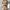 Women's Cable Knit Sweater Dress - High Neck Rib-Knit Long Sleeve Fall/Winter
