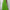 Women's Plus Size Sleeveless Maxi Dress - Elegant A-Line Solid Color, Medium Stretch for Spring & Summer
