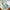 Luxury Cashmere-Blend Winter Scarf for Women – Thick Warm Shawl with Tassels, Soft Fluffy Solid & Plaid