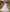 Modest Chiffon A-Line Wedding Dress V-Neck Sleeveless Pleated Beach Boho Bridal Gown — Plus Size & Custom Made