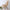 Cashmere-Feel Polyester Pashmina Shawl Scarf 70 x 200 cm (27.6 x 78.7 in) – Soft Tassel Wrap for Women & Men, 43 Colors