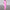 Women's Elegant One-Shoulder Long-Sleeve Wide-Leg Jumpsuit for Office and Party