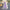Daisy Mesh Midi Dress - Korean Style Spaghetti Strap Two-Layer Summer Beach Party Dress