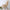 Cashmere-Feel Polyester Pashmina Shawl Scarf 70 x 200 cm (27.6 x 78.7 in) – Soft Tassel Wrap for Women & Men, 43 Colors