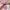 Girls Cute Cartoon Bow and Butterfly Braided Headband Hair Ties Colorful 45 cm (17.7 in) Ponytail Holders