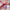 Girls Cute Cartoon Bow and Butterfly Braided Headband Hair Ties Colorful 45 cm (17.7 in) Ponytail Holders