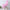 Cashmere-Feel Polyester Pashmina Shawl Scarf 70 x 200 cm (27.6 x 78.7 in) – Soft Tassel Wrap for Women & Men, 43 Colors