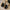 Autumn Winter Women's Faux Suede Plush-Lined Slip-On Loafers Warm Casual Moccasins