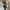 Ruched Long Sleeve Crop Top & High-Waist Bodycon Skirt Two-Piece Set for Women, Solid Casual Spring/Summer