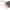 5-Piece Nail Art Striping Brush Set – Ultra-Thin Liner Detail Brushes (7–25 mm / 0.28–0.98 in)