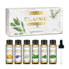 EUQEE 6-Pack Floral Essential Oil Set 6 x 10ml (0.34 fl oz) – Rose, Lavender, Ylang Ylang, Jasmine, Geranium, Chamomile for Diffusers & Candle Making