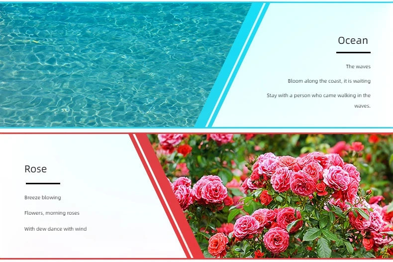 10ml (0.34 fl oz) Water-Soluble Essential Oil for Aroma Diffusers — 17 Scents (Lavender, Rose, Eucalyptus, White Peach, Oolong, Ocean)