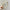 Korean Cotton Headband for Women & Girls - Solid Fashion Hairband, Casual All-Match Hoop