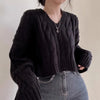 Vintage Twist Cropped V-Neck Knit Sweater - Women's One Size Pullover for Autumn Winter