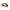 Wooden Handheld Massage Roller and Gua Sha Tool – Full-Body Trigger Point Massager for Women & Men