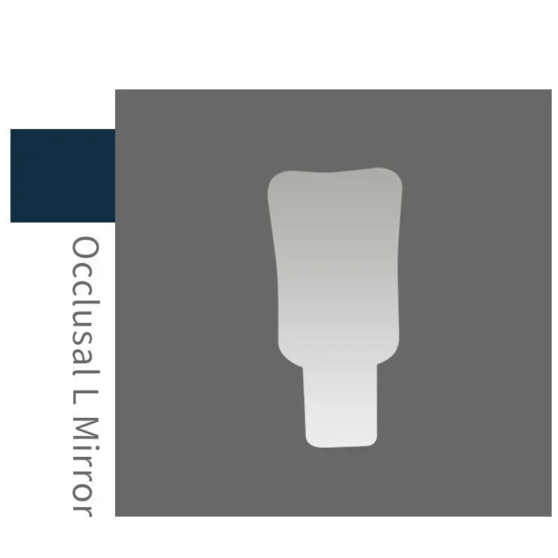 Rechargeable LED Anti-Fog Dental Photography Mirror Kit – Stainless Steel Intraoral Buccal Lingual Reflectors