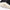 Disposable Lip & Mascara Applicator Wands – Pack of 50/100/250/500/1000 | Lipstick & Lip Gloss Micro Brushes