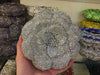 Floral Rhinestone Minaudiere Evening Clutch Rose Crystal Bridal Wedding Party Bag