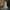 Pearl Butterfly Bridal Veil Cathedral Long Train – 150cm (59in) Single-Layer Wedding Veil for Outdoor & Destination Weddings