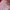 24pc Christmas Press-On Nails Set Medium Long Snowman Santa Snowflake Square Tips
