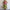 Women's Printed A-Line Maxi Dress - Spaghetti Strap Cold Shoulder High-Waist Slim Beach & Party Casual Vestidos