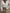 Women's Elegant Chiffon V-Neck Blouse - Loose Long Sleeve Office Tunic Top