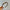 Plaid Bezel Hairband for Women Korean Retro Vintage Headband for Holiday Parties